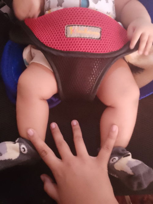 Kaki besar sebelah