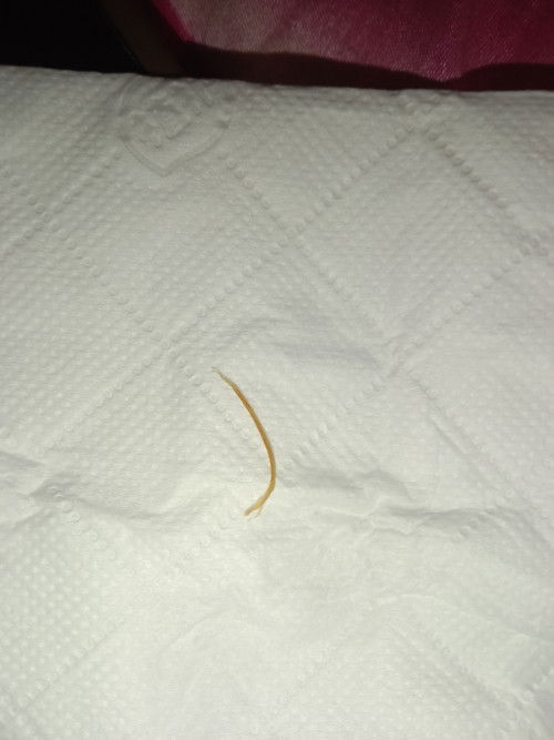 ขอคำปรึกษาค่ะ🙏