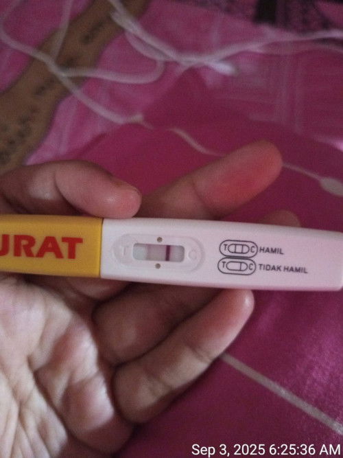 Halo. Testpack garis 2, cek urin di Puskesmas Hasil Negatif. HPHT antara akhir Juni/awal Juli (lupa)