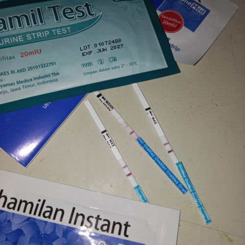 Bun ada yang sama nggak hpht 25 Juli.Kemarin USG katanya masih kecil jd di kasih vitamin sma penguat