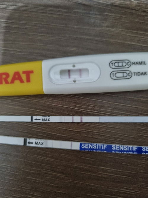 Hamil awal tm 1