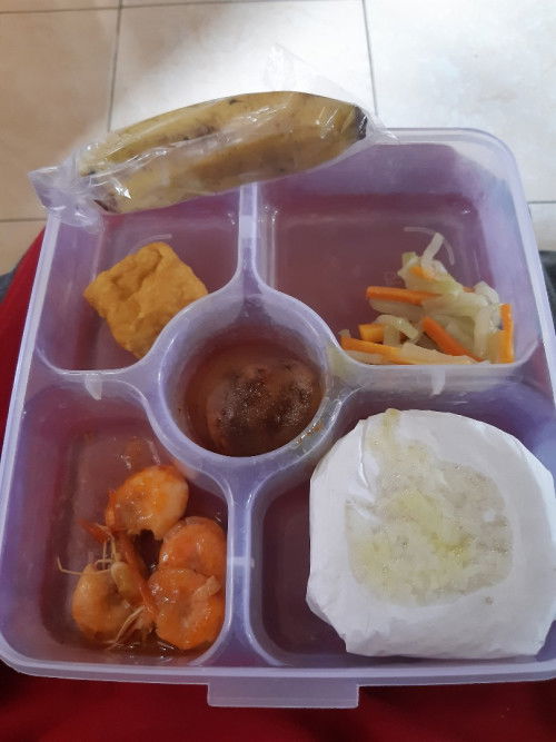 Makanan tambahan ibu hamil dari puskesmas