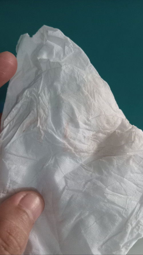 hpl 25 september 36w 5d