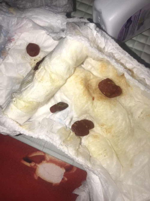 PUP BAYI 6bln MPASI