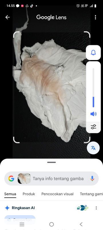 Slmat siang ini flek darah awal kehamilan atau haid ya