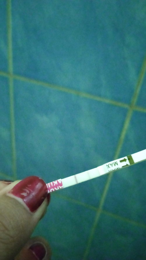 apakah tespek gini hamil?