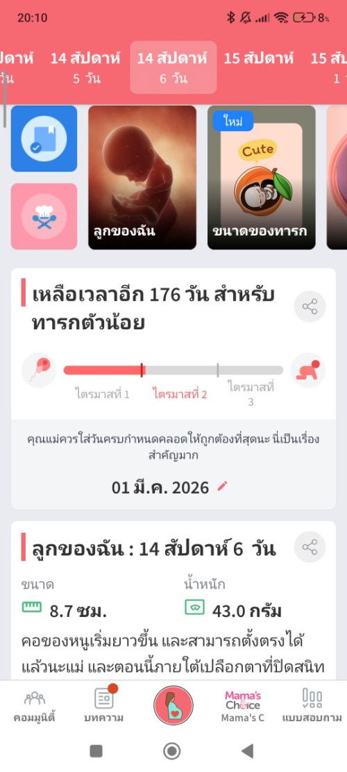 อยากถามแม่ๆคนอื่นว่าแพ้ท้องหนักกันมั้ยคะทางนี้กินอะไรอ้วกหมดค่ะได้กลิ่นอะไรนี่คือทรมานมากค่ะ🥹