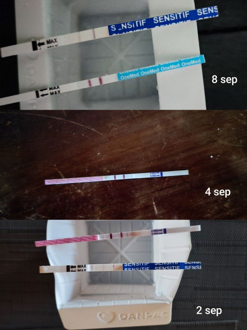 Test pack sensitif garis 2samar banget, tapi merek lain terang