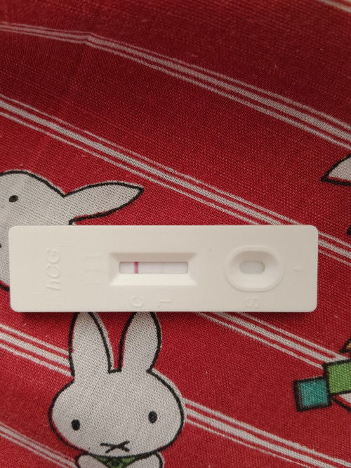 Pregnancy Test