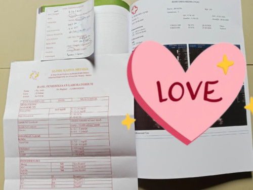 Bumil tm1 udah pada cek lab belum? Hb 14