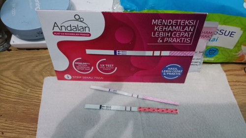 Aku hpht 1 agustus dan di tes 8 september