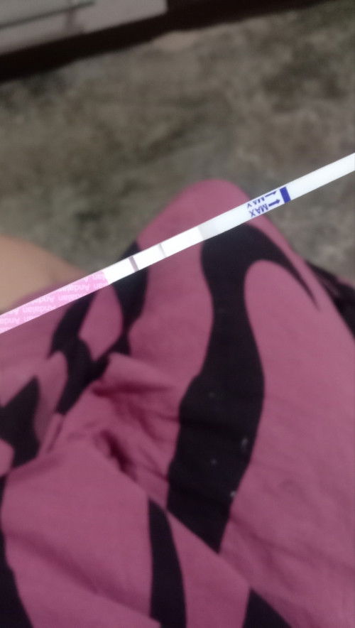 Buk maaf mau nanyak,apakah gni hamil?