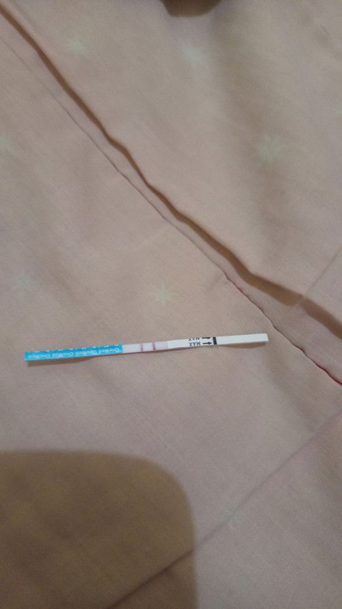 Halo bunda saya br Trimstrnp Pertama, susu buat hamil yg bgus apa ya