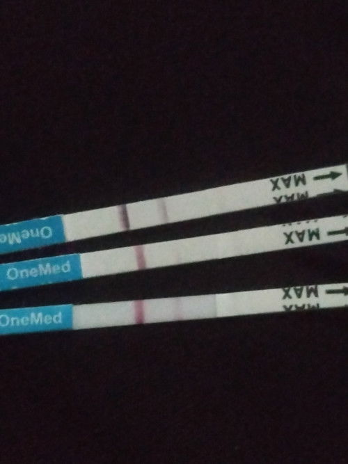 bunda² apakah ini sudah positif hamil...
