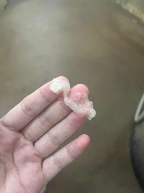 ขอสอบถามค่ะแม่ๆ