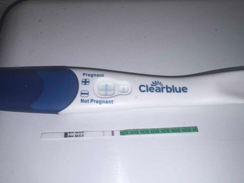 Pregnant kedua