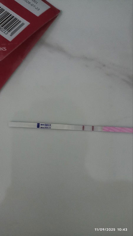 Baru tespek tadi pagi