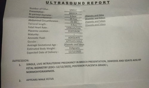 Pelvic ultrasound