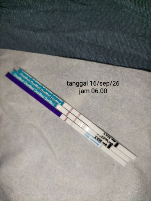 Hpht 10 agustus,ditespack 16 september .kira" waktu usg yang pas kapan ya bun?