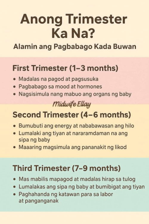 Pagbabago ng katawan Kada trimester