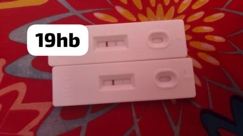 UPT SCAM KE??🥹