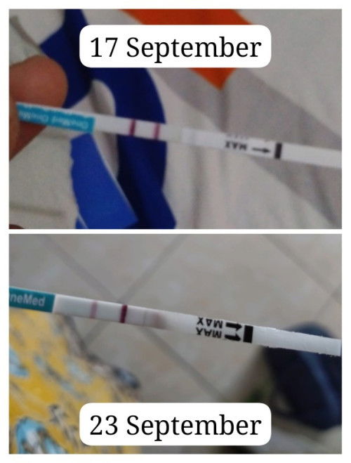 bun mau tanya dong ,bunda ad yang pernah kaya gini tidak ya🥺tolong jelasin dong bundaa