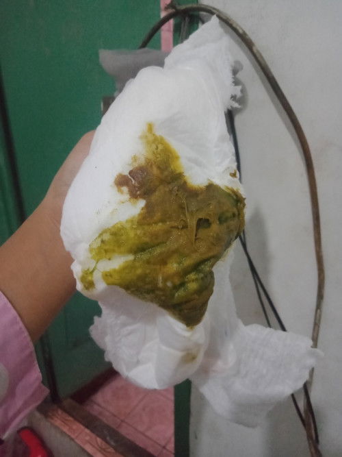 Bab kuning kehijauan