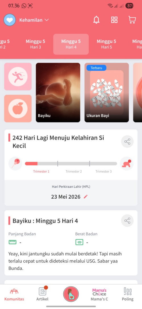 USG terbaik kapan?