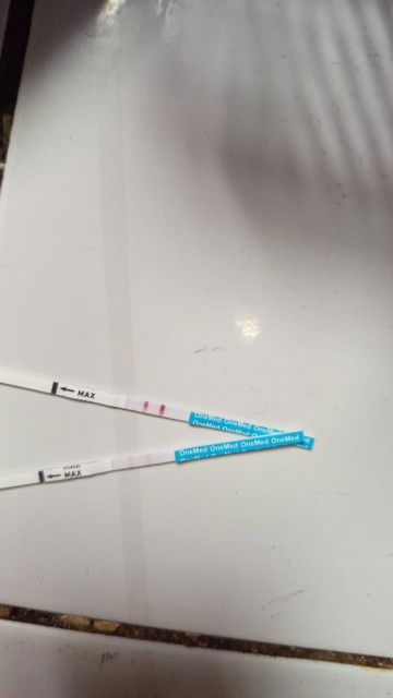 Hpht 11 Agustus, tespek prtama tgl 9 September jelas bgt, tespek ke 2 tanggal 24 September tp smaar