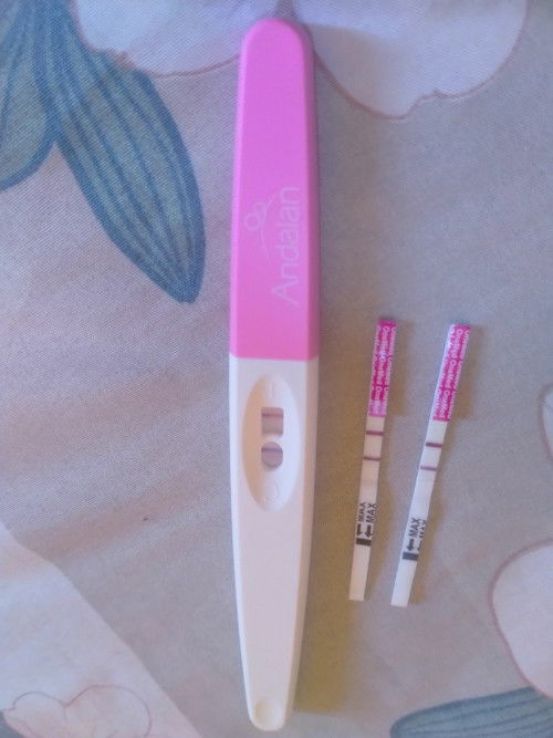 Hamil 4 minggu 5 hari