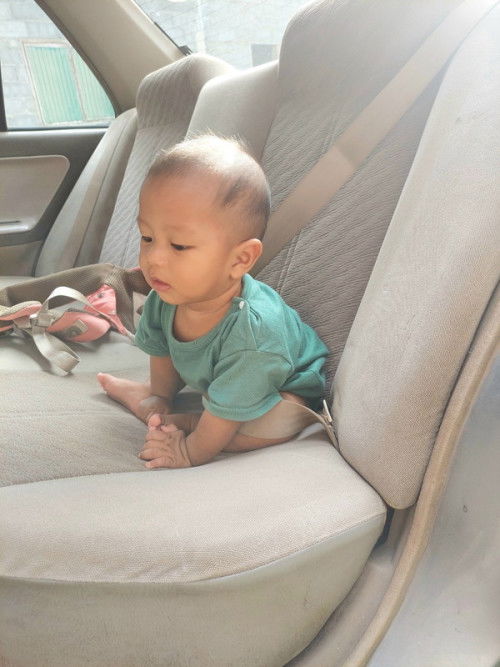 ลูกดูตัวเล็ก