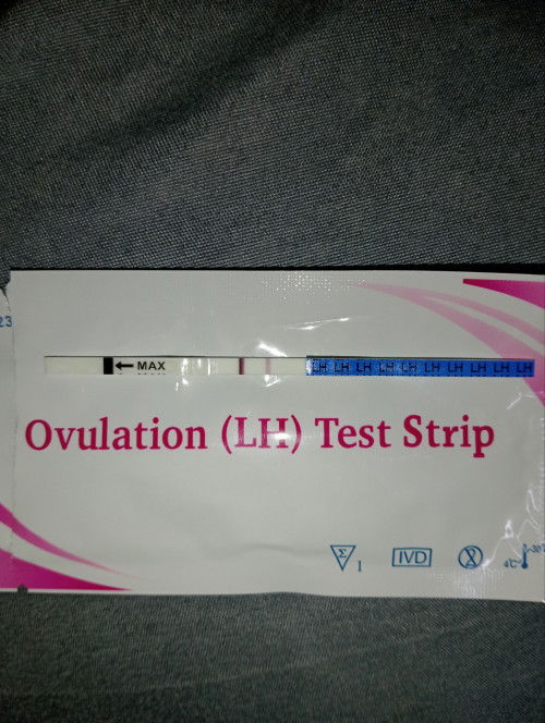 opk positive or negative