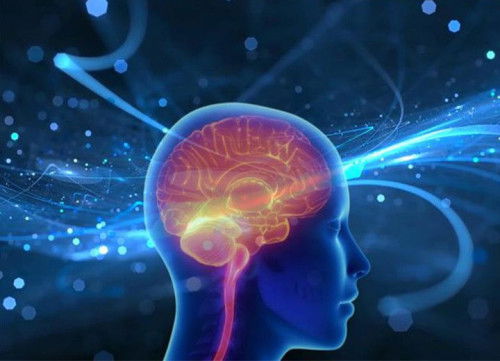 Reimagining Chromatography for Advanced Therapies: From Diffusion to Convection — BCI