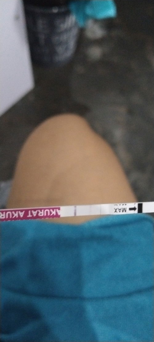 Pejuang garis dua