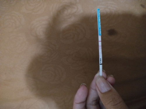 Maaf mau tanya ini positif apa negatif ya bund?soalnya telat 3 hari
