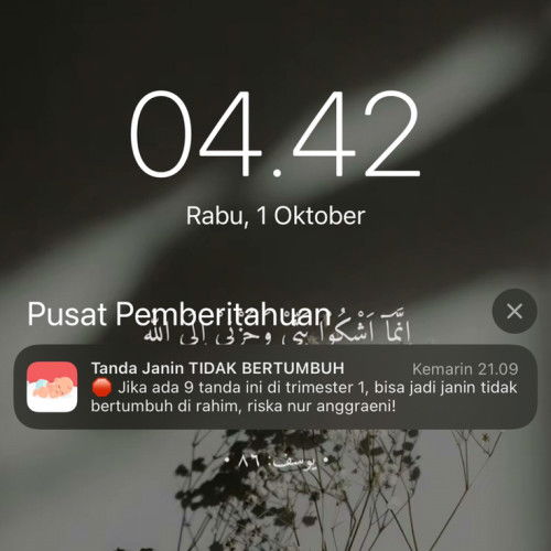 Sumpah bingung banget dah ini APK