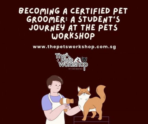 Becoming a Certified Pet Groomer: A Student’s Journey at The Pets Workshop