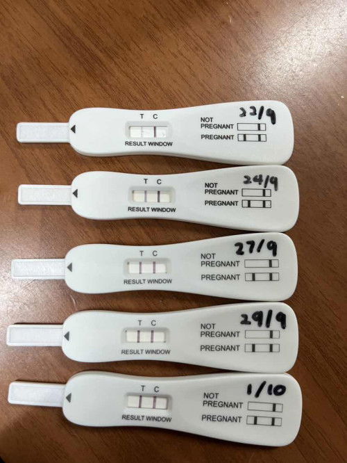 Scan 5w nampak tak