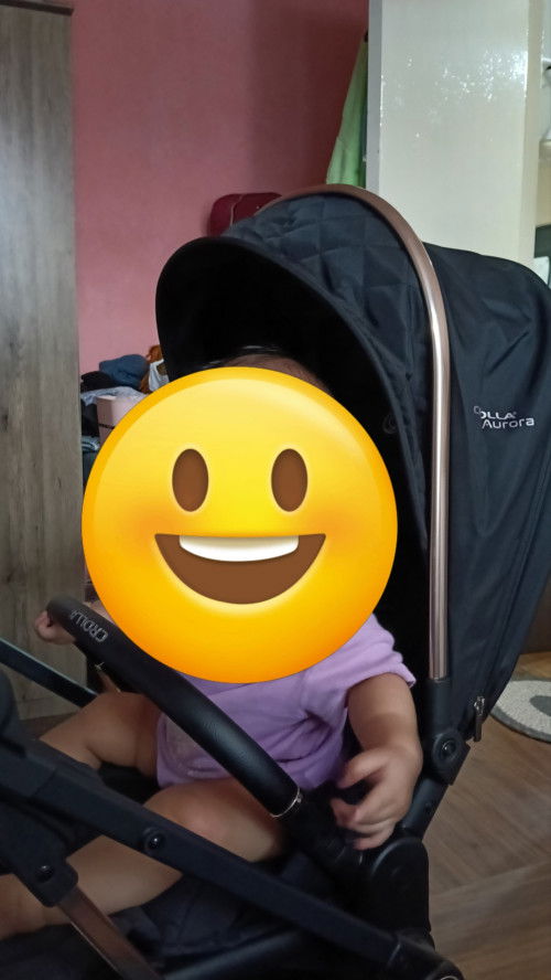 training stroller