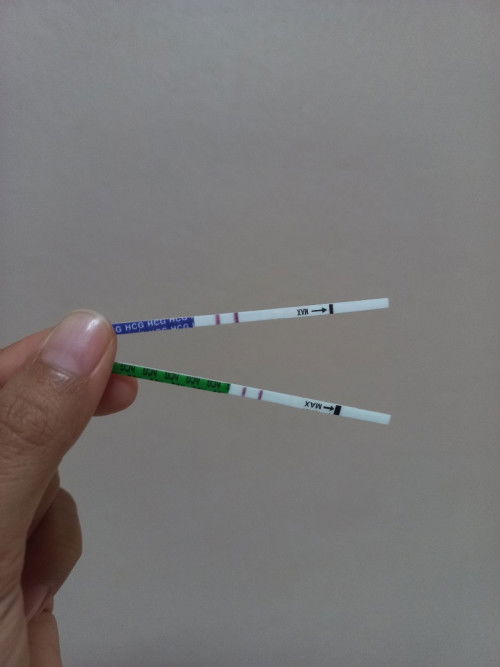 Telat haid 8 hari
TM 1
Harus periksa di minggu ke berapa?