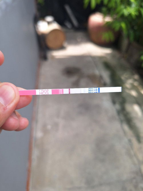 Post reply image