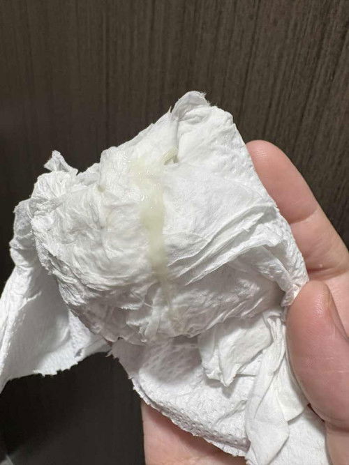 Keputihan 16 Minggu