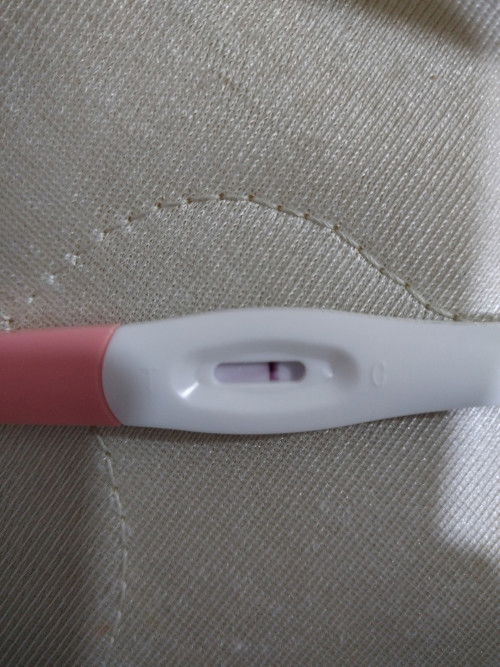 Pregnancy test