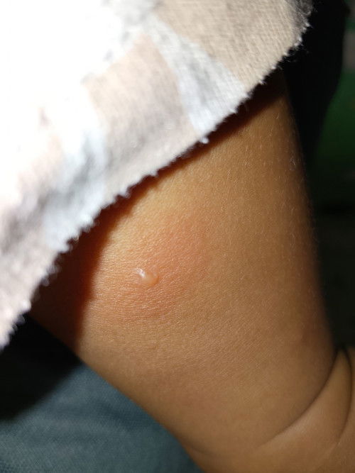 Salep buat bayu 8 bulan