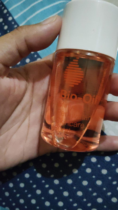 Bio oil buat perut
