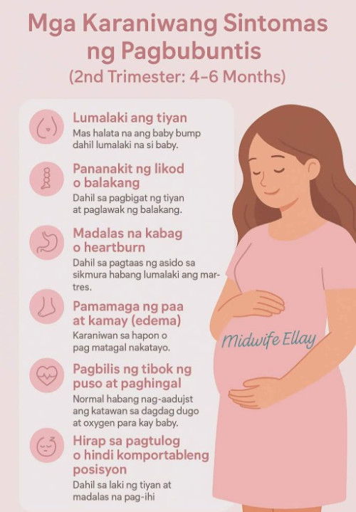 Second Trimester