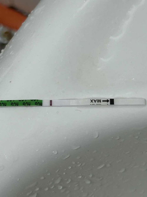 Pregnant atau tidak