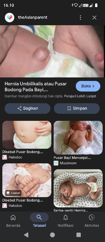 Pusar bodong