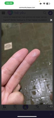 Post reply image