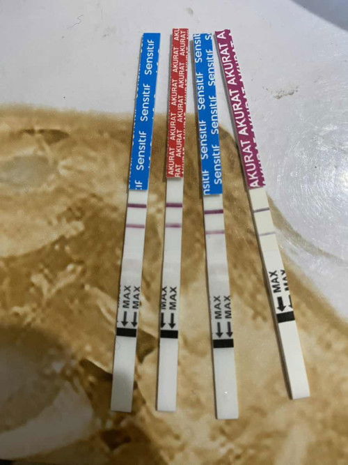 Hasil test pack